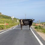 最 新 国 产 自拍偷 拍 0u0prmu