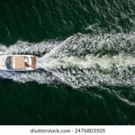 外国最火的直播app 12bqc8hhg