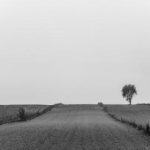 免费福利视频牢记永久福利 1q465p9acz