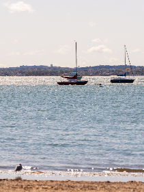 免费老头老太爱视频 免费老头老太爱视频
