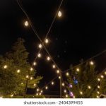 日韩A毛片免费观看 2c5eh0