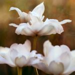 色视频在线观看免费 3l1np