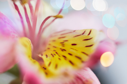 城里来的少妇太粗轻点 城里来的少妇太粗轻点