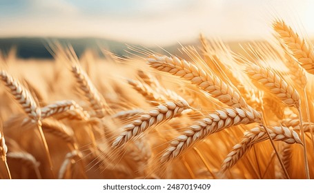 欧美viboss高清 欧美viboss高清