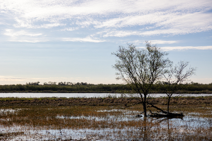 毛色毛片免费观看 毛色毛片免费观看
