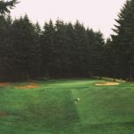 来个网址稳定的看片的 hyfep