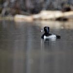 特级毛片A级毛片免费观看 ou2jtn8u3