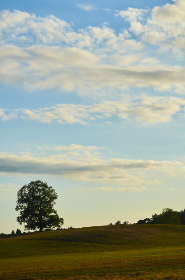 狼人香蕉香蕉在线28 百度 狼人香蕉香蕉在线28 百度