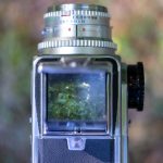 未成18年不能看的免费视频 qv8sd8q