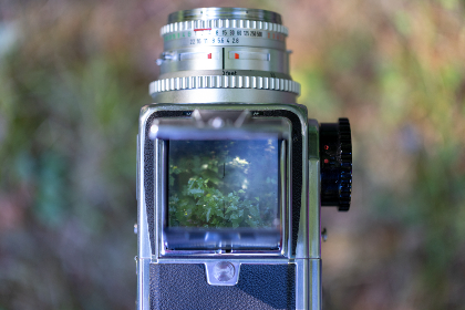 未成18年不能看的免费视频 未成18年不能看的免费视频