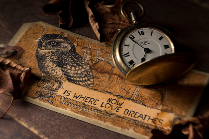 特黄三汲片 特黄三汲片