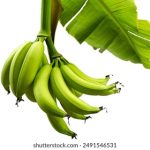 如何快速找到YouTube网页版登录入口的方法 96bu8byo0