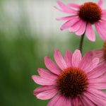 一起看苹果版app:畅享精彩视频共享体验 c9qhn5t