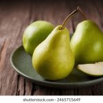 toptoptop下载:轻松获取最新版本,畅享无限精彩体验! hq1sxc23