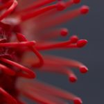 夸克火哥分享:探索科技与生活的完美结合 iybxirdo