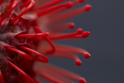 夸克火哥分享:探索科技与生活的完美结合 夸克火哥分享:探索科技与生活的完美结合