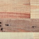 宇宫都紫苑搜查官:破解神秘案件的传奇旅程 kzynf5xy8