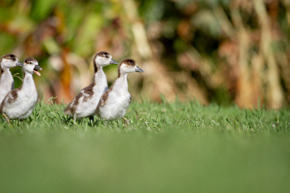 低端影视在线观看:畅享海量低成本影片,轻松娱乐每一天 低端影视在线观看:畅享海量低成本影片,轻松娱乐每一天